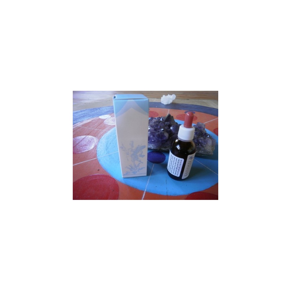 Oleocomplesso 1