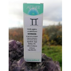 Echinacea