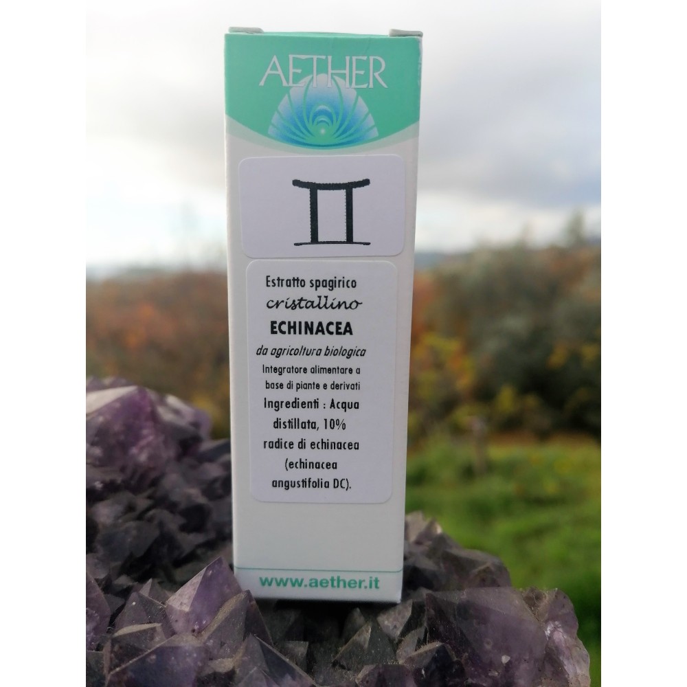 Echinacea