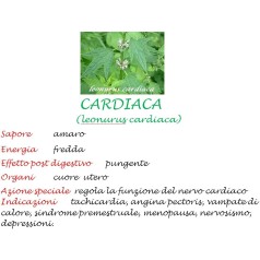Estratto Spagirico Cardiaca