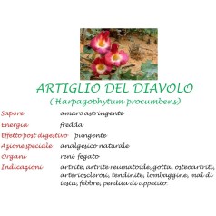 Artiglio del Diavolo
