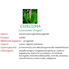 Curcuma