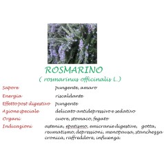 Rosmarino