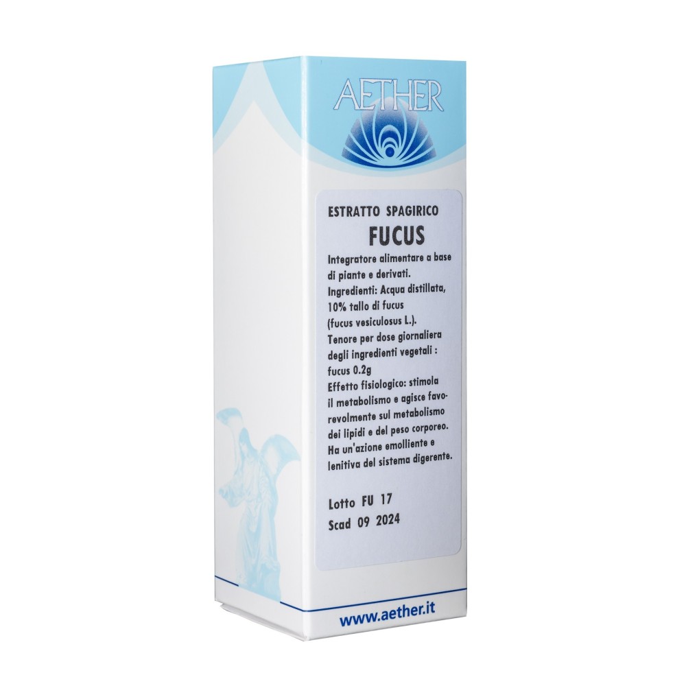 Fucus