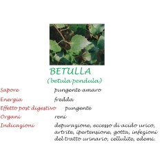 Betulla