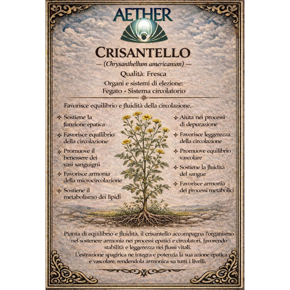 Estratto Spagirico Crisantello